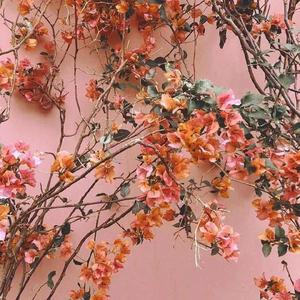 中国超帅直男KTV
